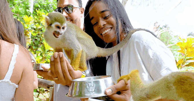Monkeyland Tour + Transportation From Cruise/Hotel - Cultural Insights Into the Dominican Republic