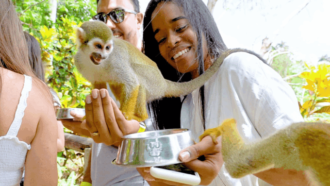 Monkeyland Tour + Transportation From Cruise/Hotel - Recap