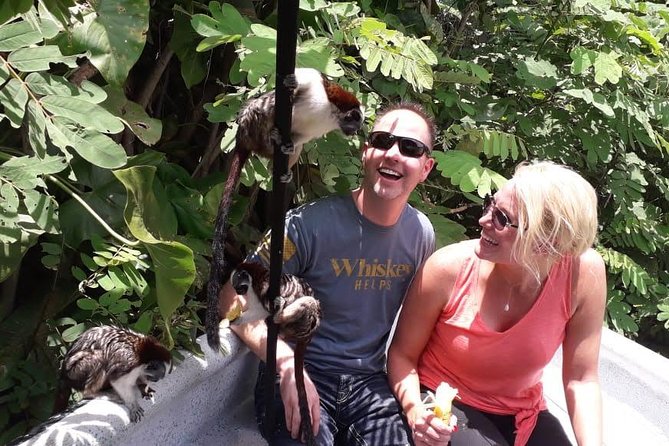 Monkeys Discovery - Pricing and Booking