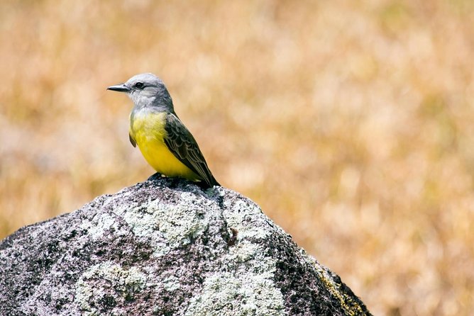 Mono Island and Panama Canal Trail Tour - Key Points