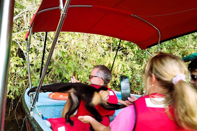 Mono Island and Panama Canal Trail Tour - Mono Island Nature Reserve