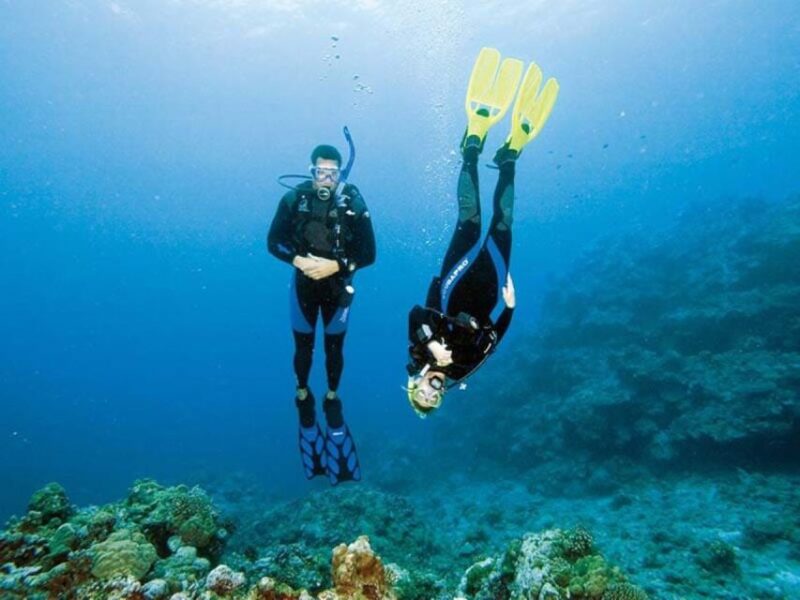 Monopoli: Discover Scuba Diving in the Apulian Riviera - Booking Details