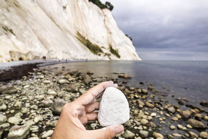 Møns Klint and the Forest Tower - a Day Tour From Copenhagen - Comfortable Transportation and Amenities