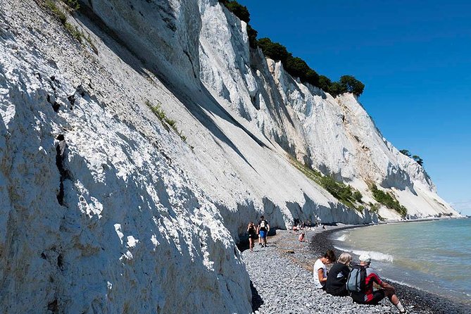Møns Klint and the Forest Tower - a Day Tour From Copenhagen - Meeting Point and Additional Information