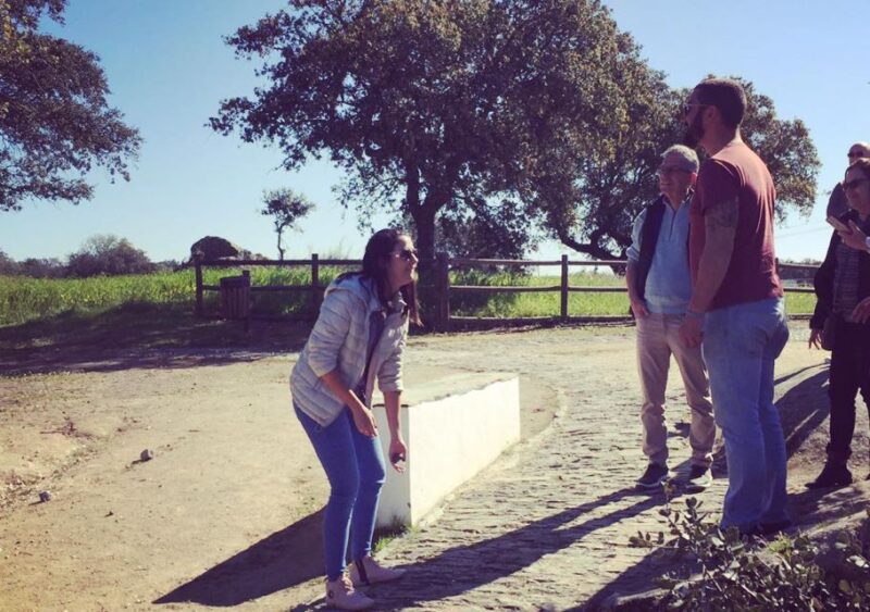 Monsaraz and Wine Guided Tour From Évora - Customer Reviews and Ratings
