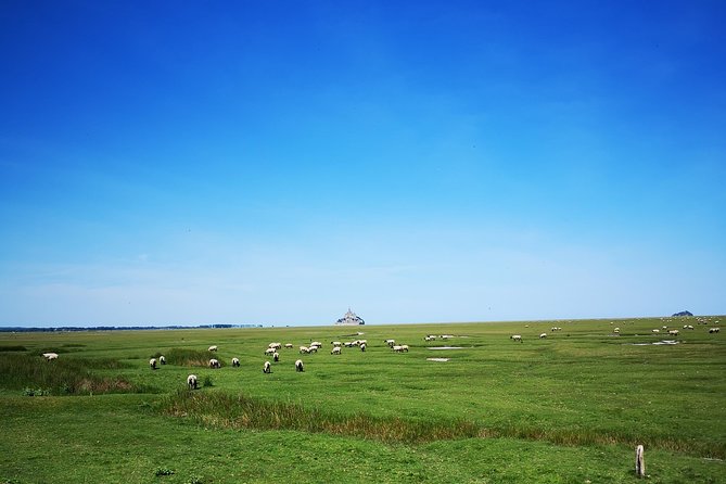 Mont Saint-Michel Day Trip From Bayeux (Shared Tour) - Transport and Pickup