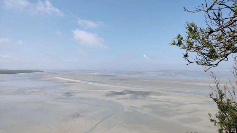 Mont-Saint-Michel: Private Walking Tour With Abbey Ticket - Inclusions and Exclusions