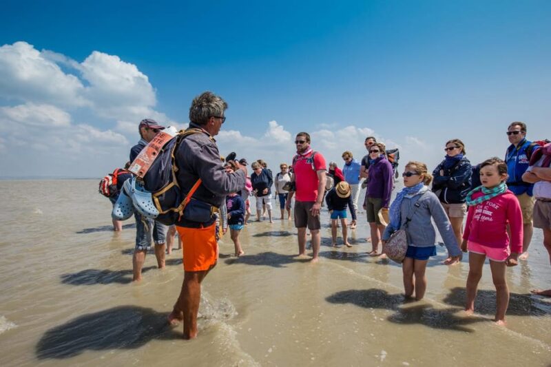 Mont Saint-Michel : Walk With an English-Speaking Guide - Pricing and Cancellation