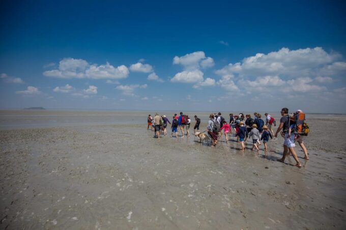 Mont Saint-Michel : Walk With an English-Speaking Guide - Immersive Bay Exploration