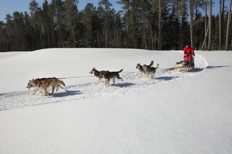 Mont-Tremblant: Dogsledding Experience - Booking Information