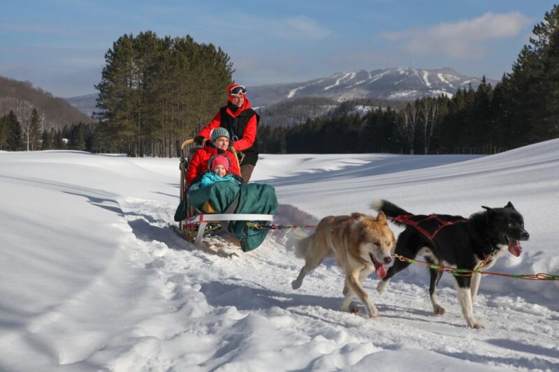 Mont-Tremblant: Dogsledding Experience - Preparing for the Excursion