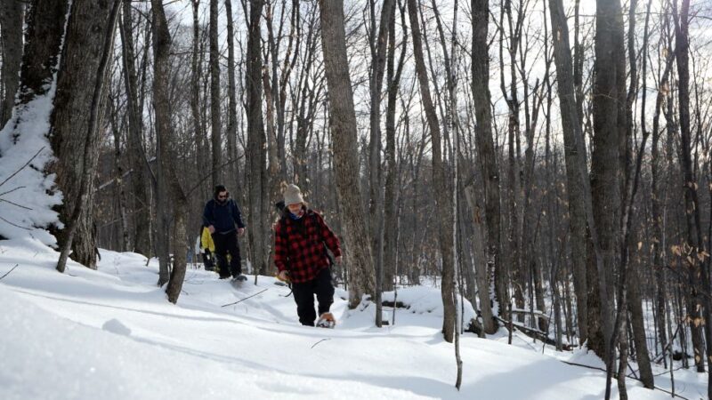 Mont-Tremblant: Fire Man Guided Snowshoe Tour - Meeting Point