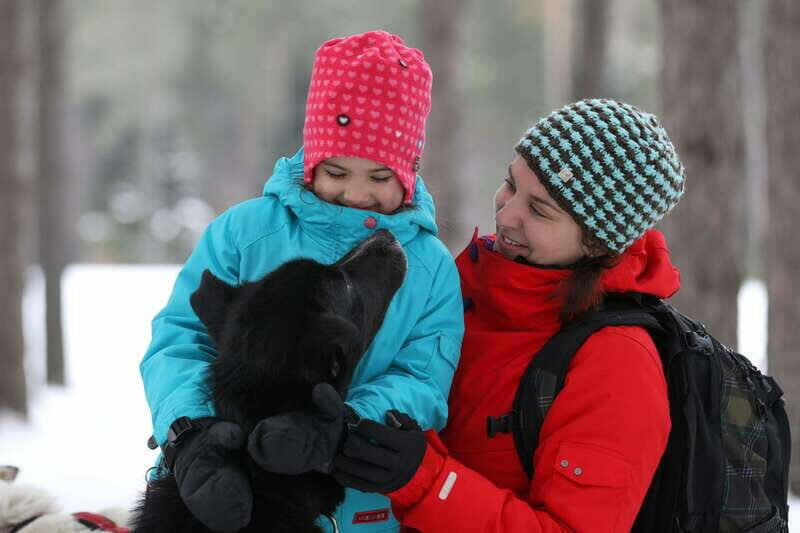 Mont-Tremblant: Guided Dogsledding Tour with Hot Chocolate - Key Points