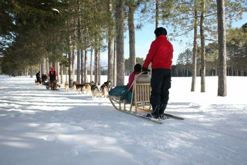 Mont-Tremblant: Guided Dogsledding Tour with Hot Chocolate - What Is This Dogsledding Tour All About?