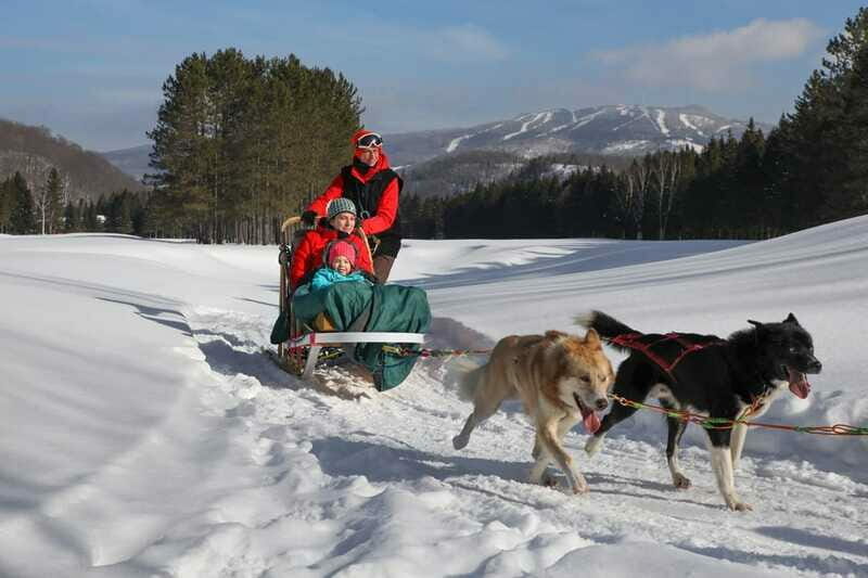 Mont-Tremblant: Guided Dogsledding Tour with Hot Chocolate - Summary of Pros and Cons