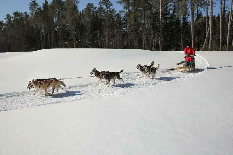 Mont-Tremblant: Guided Dogsledding Tour with Hot Chocolate - Frequently Asked Questions