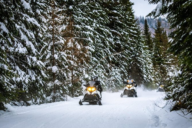 Mont-Tremblant Guided Snowmobile Tours - Booking and Payment