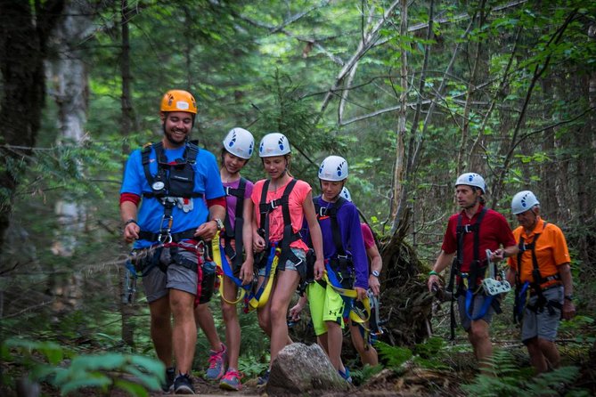 Mont Tremblant Guided Zipline Tour - Reviews and Operator
