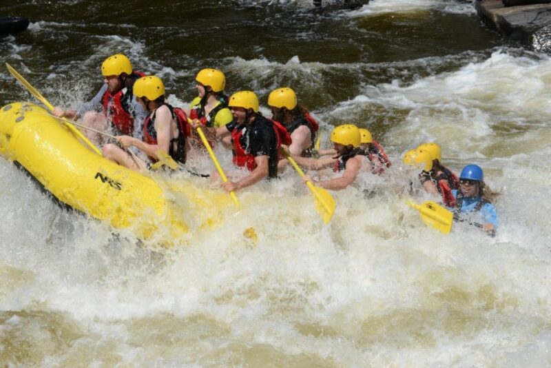 Mont-Tremblant: Half-Day White Water Rafting - Highlights of the Experience