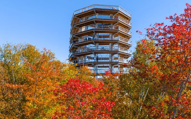 Mont-Tremblant: Laurentians Treetop Observatory and Walk - Key Points