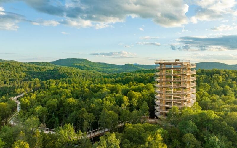 Mont-Tremblant: Laurentians Treetop Observatory and Walk - Ticket and Pricing Details