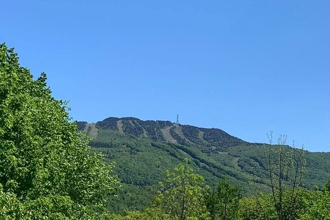 Mont Tremblant Private Day Tour From Montreal - Getting to the Laurentian Mountains