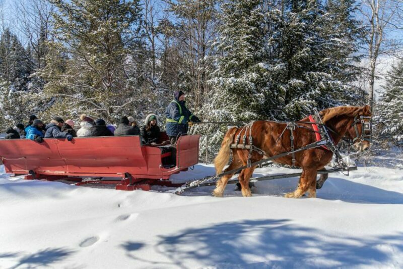Mont-Tremblant: Sleigh Ride w/ Storytelling & Hot Chocolate - Who Should Consider This Tour?