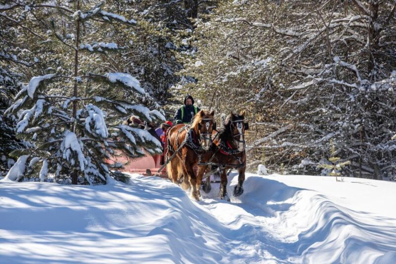 Mont-Tremblant: Sleigh Ride W/ Storytelling & Hot Chocolate - Experience Highlights