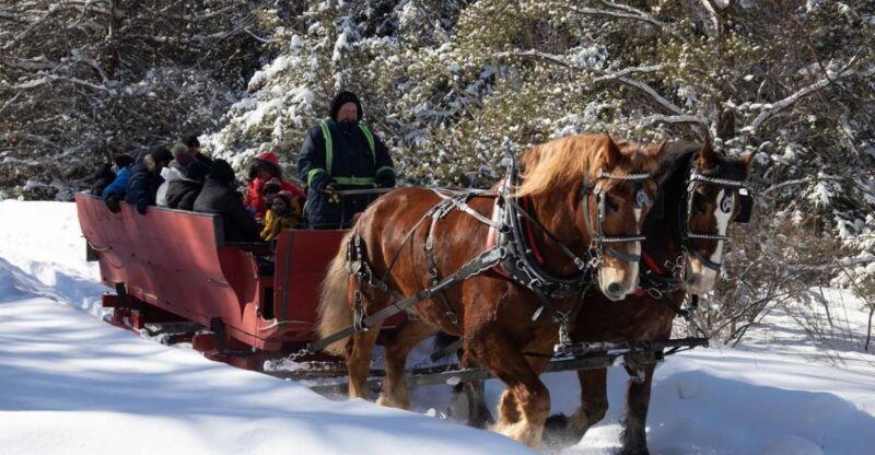 Mont-Tremblant: Sleigh Ride W/ Storytelling & Hot Chocolate - Booking Information
