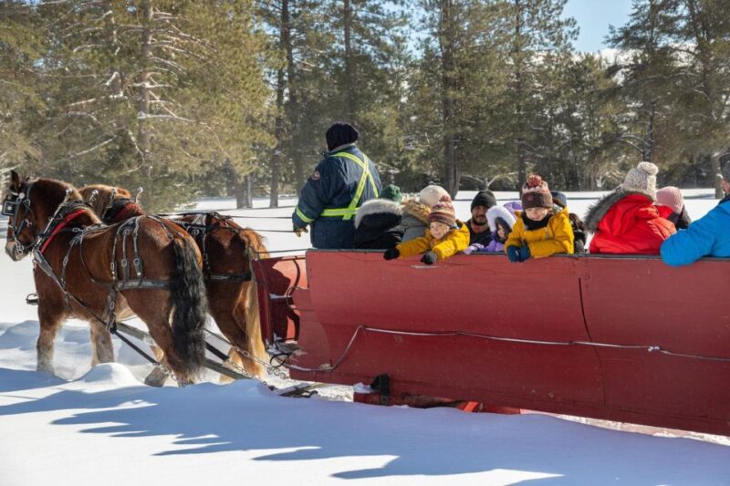 Mont-Tremblant: Sleigh Ride W/ Storytelling & Hot Chocolate - Customer Reviews