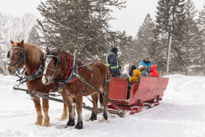 Mont-Tremblant: Sleigh Ride W/ Storytelling & Hot Chocolate - Maple Syrup Production and Tasting