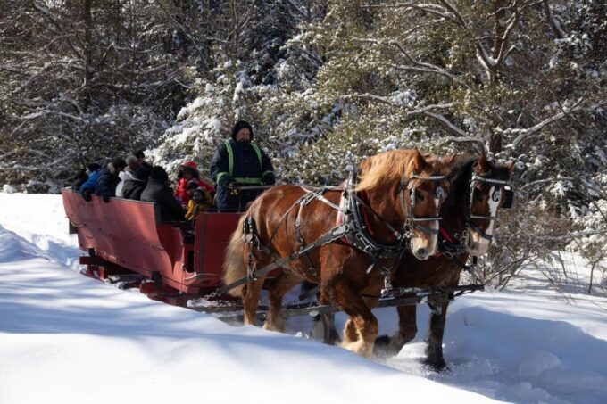 Mont-Tremblant: Sleigh Ride W/ Storytelling & Hot Chocolate - Local Legends and Folk Songs