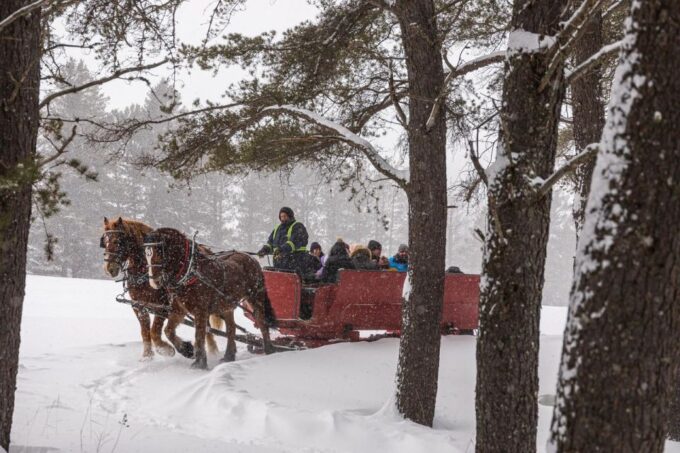 Mont-Tremblant: Sleigh Ride W/ Storytelling & Hot Chocolate - Warmth and Family-Friendly Fun