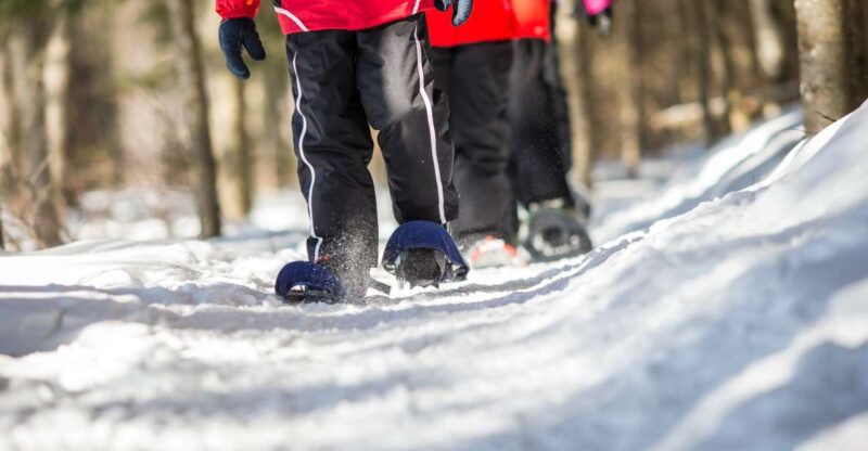 Mont-Tremblant: Snowshoe Rental - Rental Process and Requirements