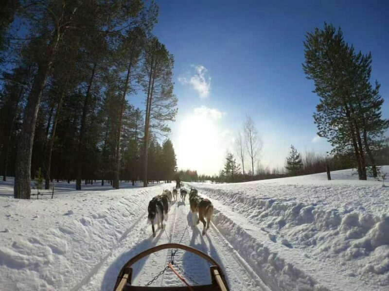 Mont-Tremblant Winter Day Trip (with Gondola Ride) - The Itinerary and What to Expect