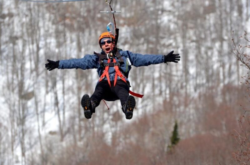 Mont-Tremblant: Ziplines & Hike - Ziplines