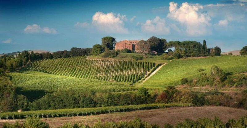 Montalcino: Brunello Wine Tasting Experience - Key Points