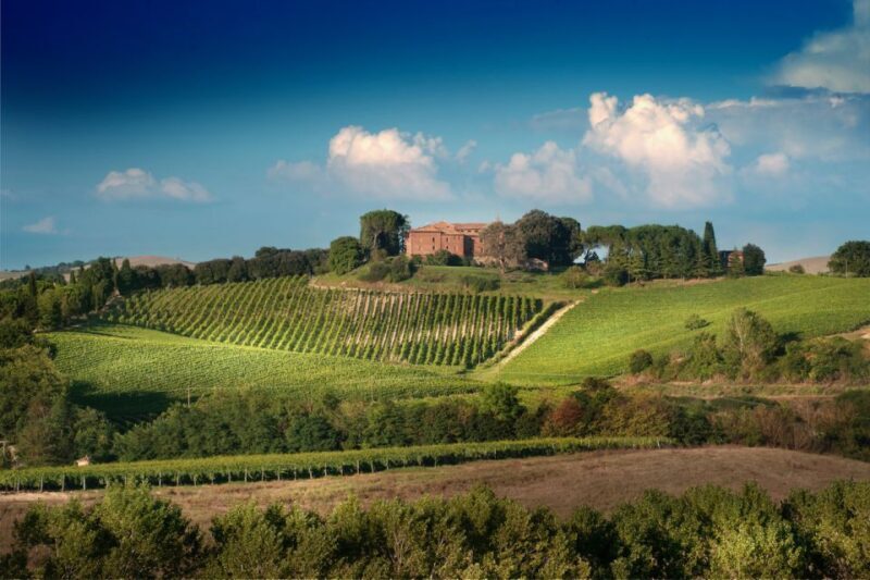 Montalcino: Brunello Wine Tasting Experience - The Historical Charm of Montalcino