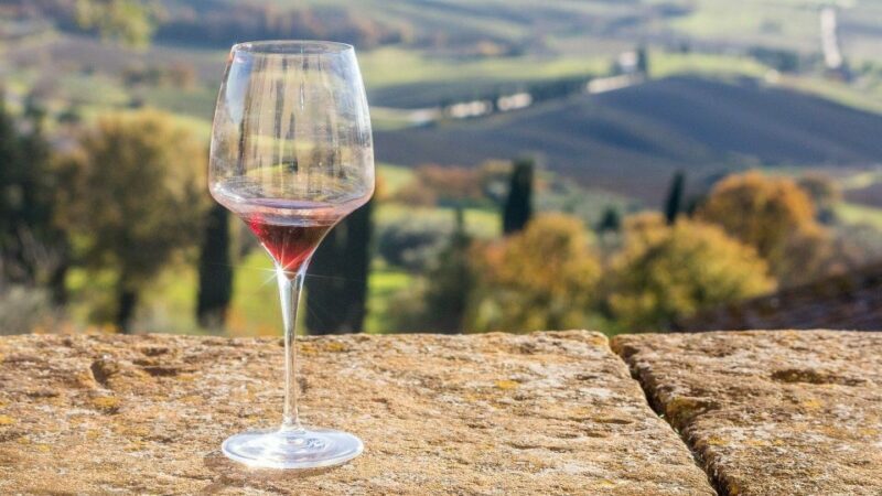 Montalcino: Brunello Wine Tasting Experience - Customer Experiences and Reviews