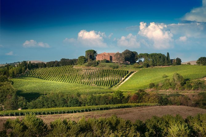 Montalcino: Brunello Wine Tasting Experience - Exploring Tuscan Wine Varietals
