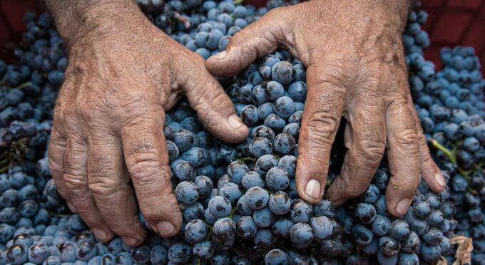 Montalcino: Brunello Wine Tasting & Lunch in a Tuscan Castle - Why Visit Montalcino