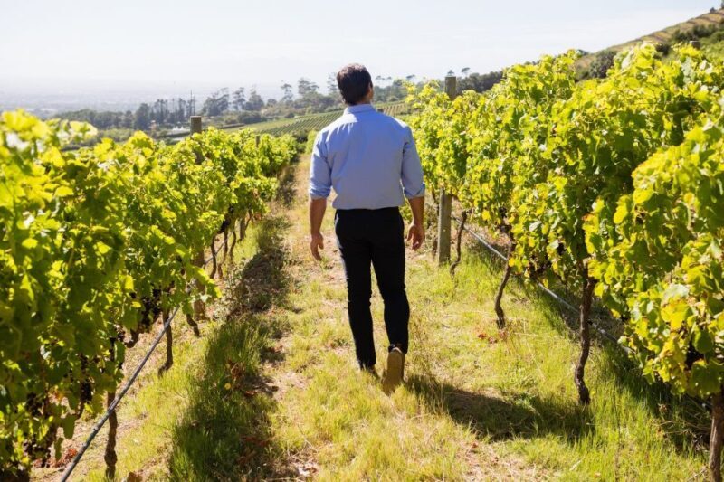 Montalcino: Castle and Vineyards Tour With Tasting - The Enchantment of Montalcino