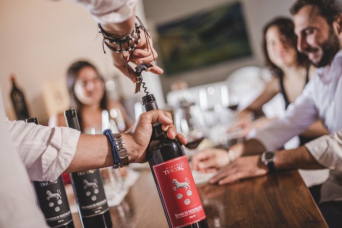 Montalcino Castle and Vineyards Tour With Tasting - Meeting Point and Accessibility