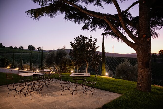 Montalcino: Cellar Tour, Brunello Tasting and Appetisers - Intimate Cellar Tour and Insights
