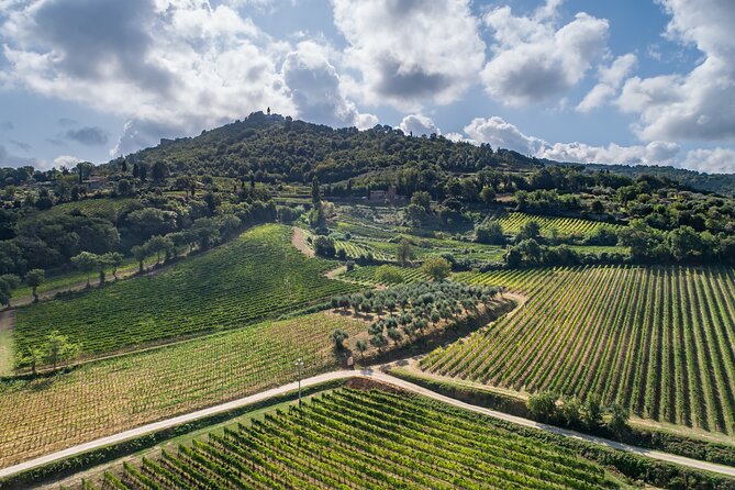 Montalcino: Cellar Tour, Brunello Tasting and Appetisers - Cancellation Policy and Booking Confirmation