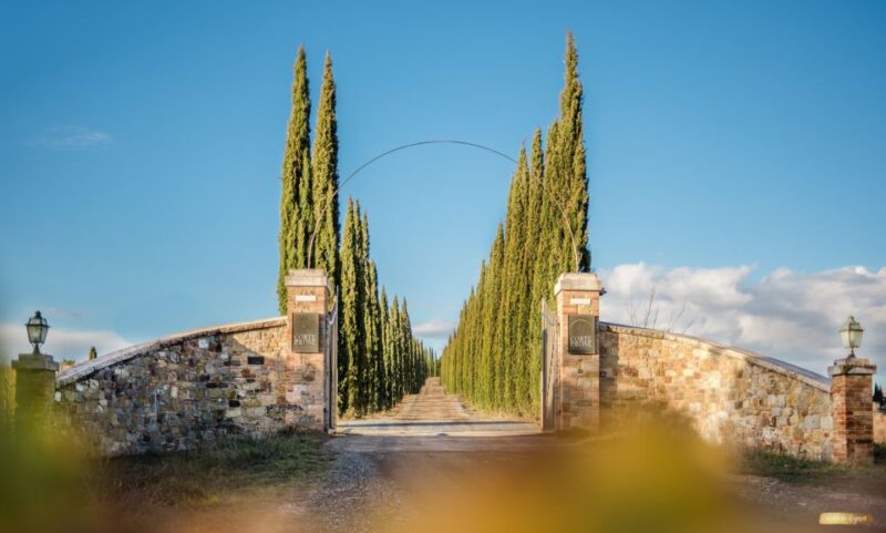 Montalcino: Gourmet Wine & Food Tasting - Key Points
