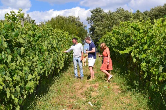 Montalcino: Small-Group Brunello Wine Tour From Florence - Winemaking Process Insights