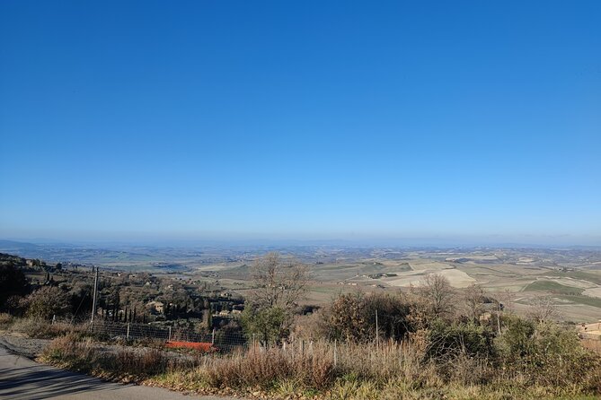 Montalcino, Trekking in the Vineyard, Enomusicale Tasting and Cacio Di Pienza! - Worth The Stay