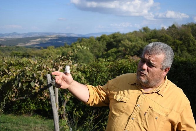 Montalcino Wine Tour - Tour Reviews