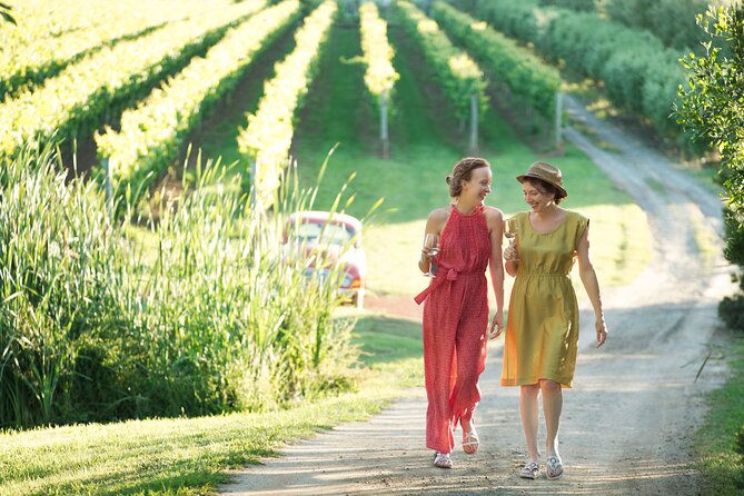 Montalto Vineyard: Mornington Peninsula Discovery Wine Tasting and Lunch - Highlights of the Tour